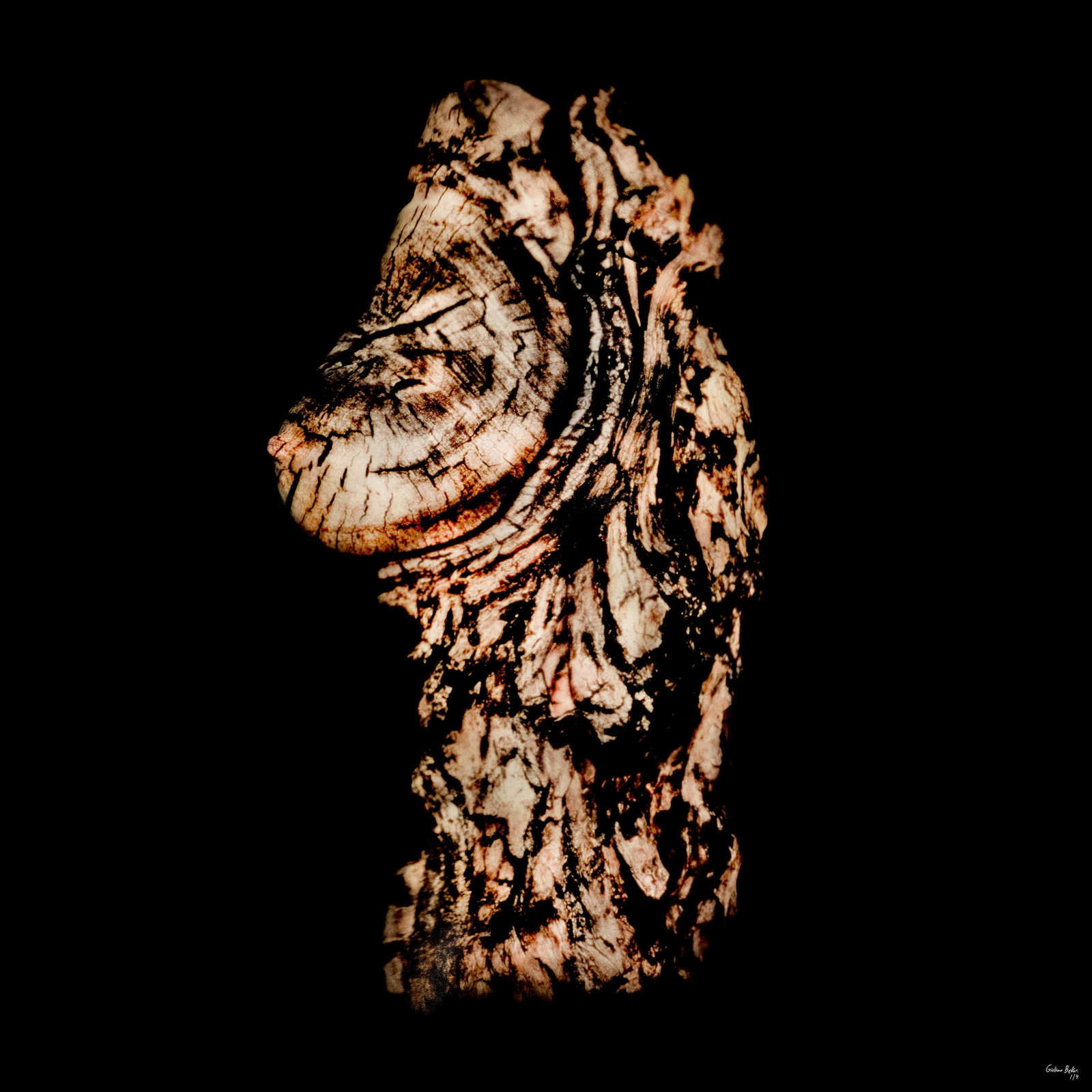 Giuliano Bekor Acacia ARW4 Abstract Photography Limited Edition 40x40: Giuliano Bekor Acacia ARW4 Abstract Photography Limited Edition 40x40 Experience the captivating beauty of "Acacia ARW4", an abstract photography piece by renowned artist Giuliano Bekor. This limited 