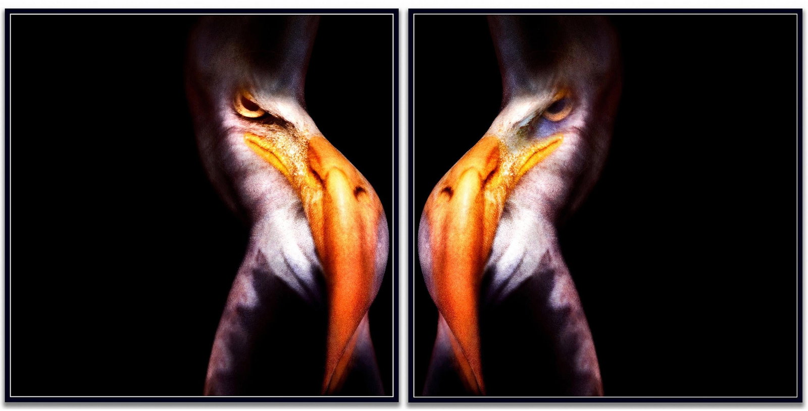 Giuliano Bekor WA25AB Diptych archival pigment photograph 40 x 40 edition of 10 (1 of 6)