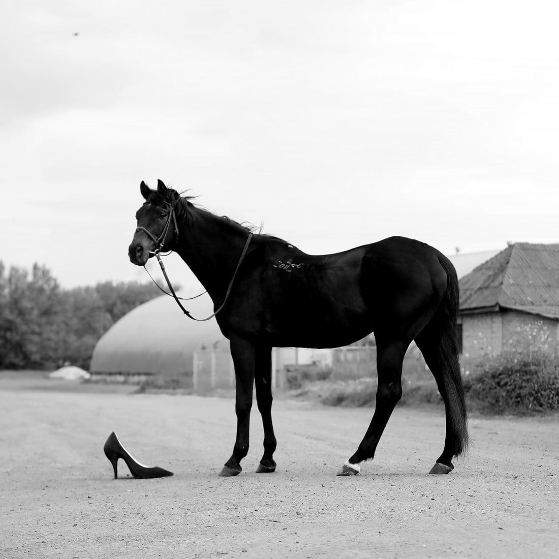 Olha Stepanian Fashion Black and White Photography Ed. of 7 31x31 (1 of 4)