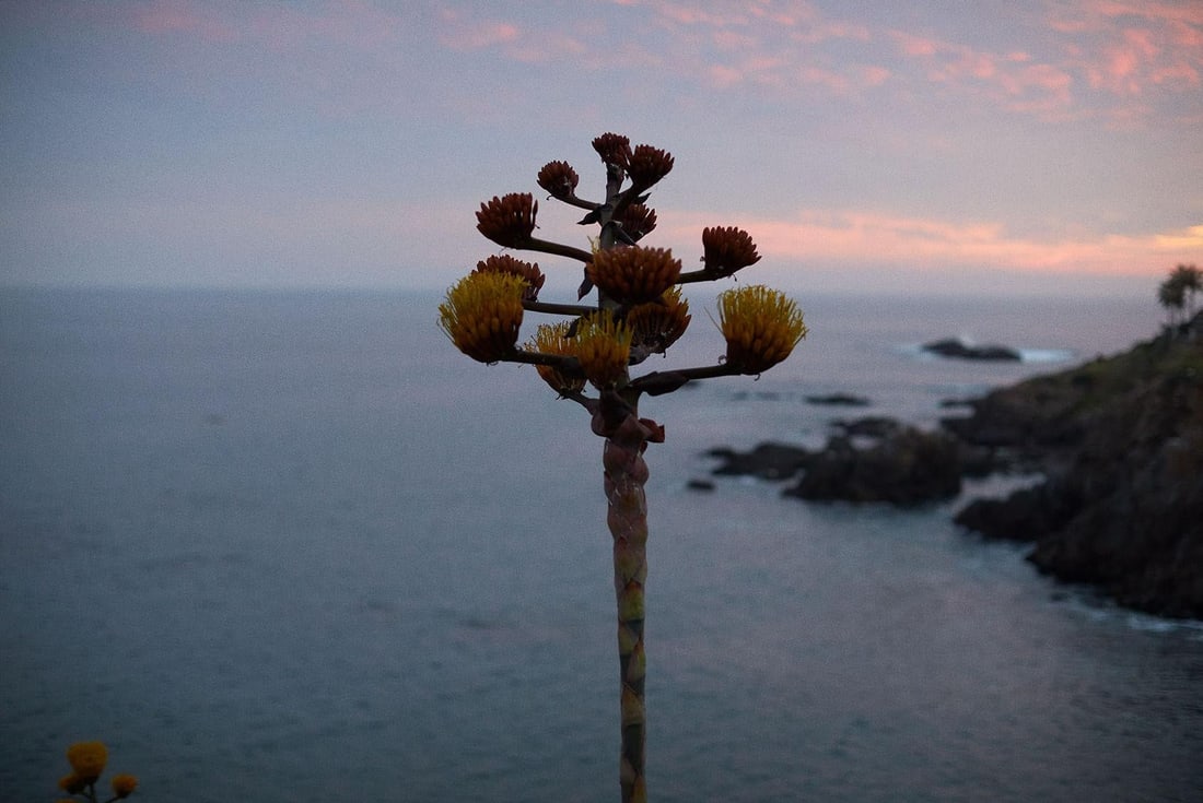 Rowan Daly Untitled Nr 0781 Landscape Photography Ed 1/12 36 x 44 (1 of 2)