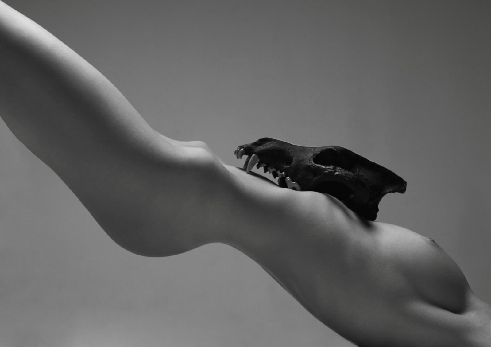 Aaron Mcpolin Lupa archival giclee nude photograph 18 x 24 Edition 1/15: Aaron Mcpolin Lupa archival giclee nude photograph 18 x 24 Edition 1/15 "Lupa" is a contemporary nude photograph by Aaron Mcpolin from 2012. This archival giclee print is signed and numbered by the ar