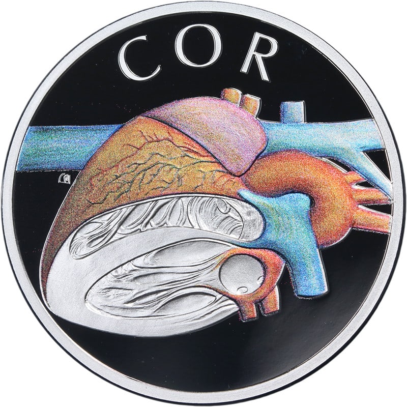 2026 Silver Proof Dollar Coin Human Body Heart from Niue with OGP and COA: 2026 Silver Proof Dollar Coin Human Body Heart from Niue with OGP and COA This 2026 Niue $1 coin features a detailed Human Body Heart design and is struck from 1 ounce of 0.999 fine silver. Issued in 