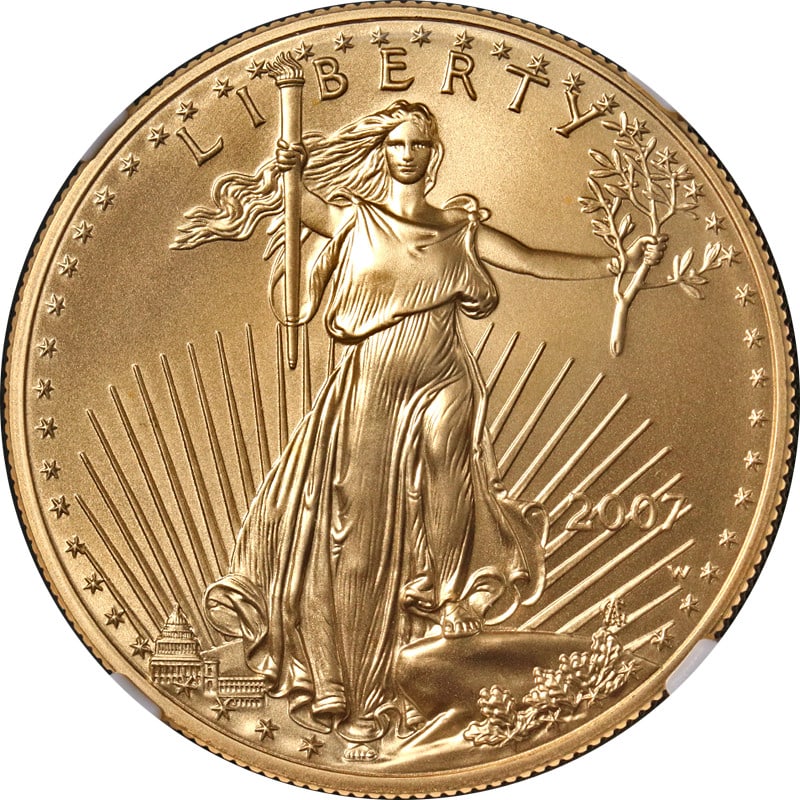NGC MS70 2007-W $50 Gold Eagle Burnished Coin with Brown Label: NGC MS70 2007-W $50 Gold Eagle Burnished Coin with Brown Label This 2007-W Gold American Eagle $50 coin is struck in 22-karat gold and certified by NGC with a perfect MS70 grade. It features a burnish