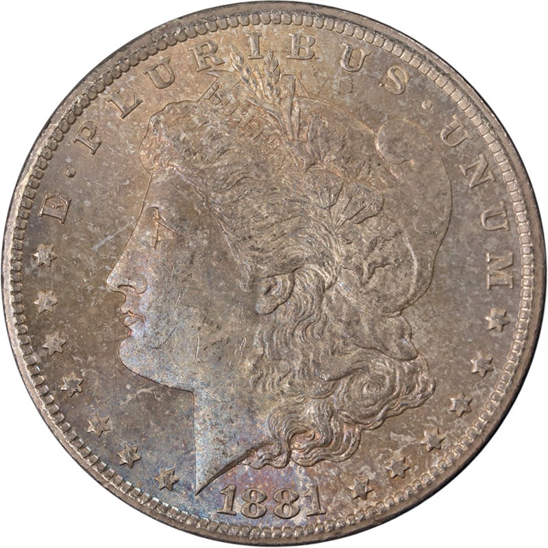 NGC MS64 1881 Carson City Morgan Silver Dollar in GSA Holder: NGC MS64 1881 Carson City Morgan Silver Dollar in GSA Holder This 1881-CC GSA Morgan Silver Dollar is graded MS64 by NGC. The coin features a nice strike, with the obverse appearing slightly dull. Thi