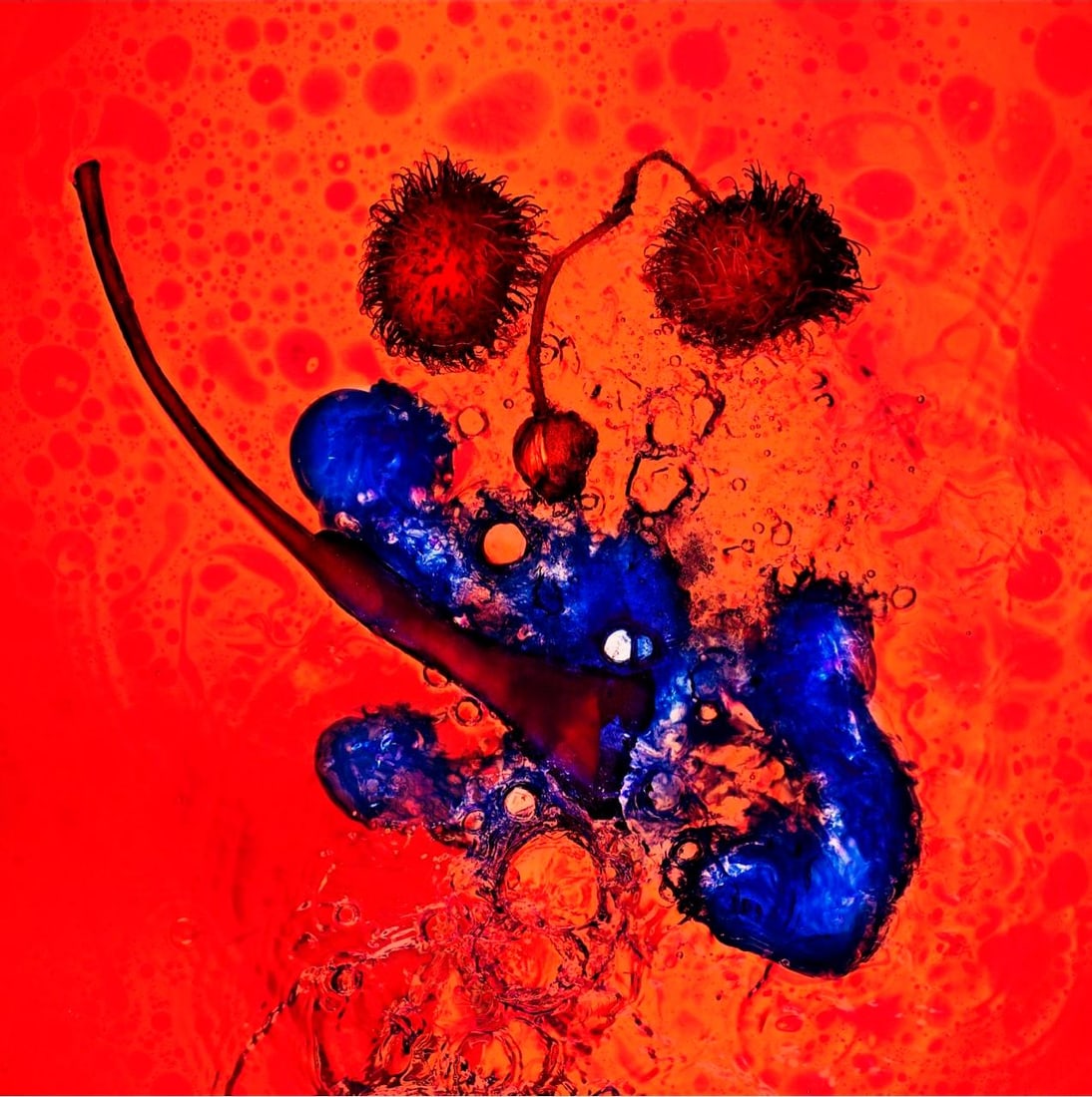Giuliano Bekor Echoes 5 Abstract Photography Edition 3/20 40x40: Giuliano Bekor Echoes 5 Abstract Photography Edition 3/20 40x40 "Echoes 5" is a captivating piece of abstract photography by Giuliano Bekor, created in 2012. This artwork is a part of a limited editio