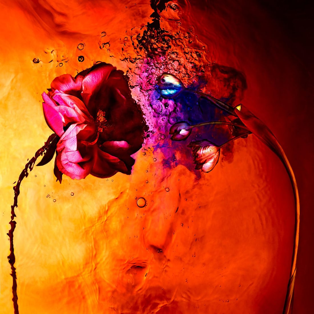 Giuliano Bekor Echoes No.11 Abstract Photography 40x40 Edition of 20: Giuliano Bekor Echoes No.11 Abstract Photography 40x40 Edition of 20 "Echoes No.11" is an exquisite piece of abstract photography by Giuliano Bekor, measuring 40" x 40". This artwork is part of a limi