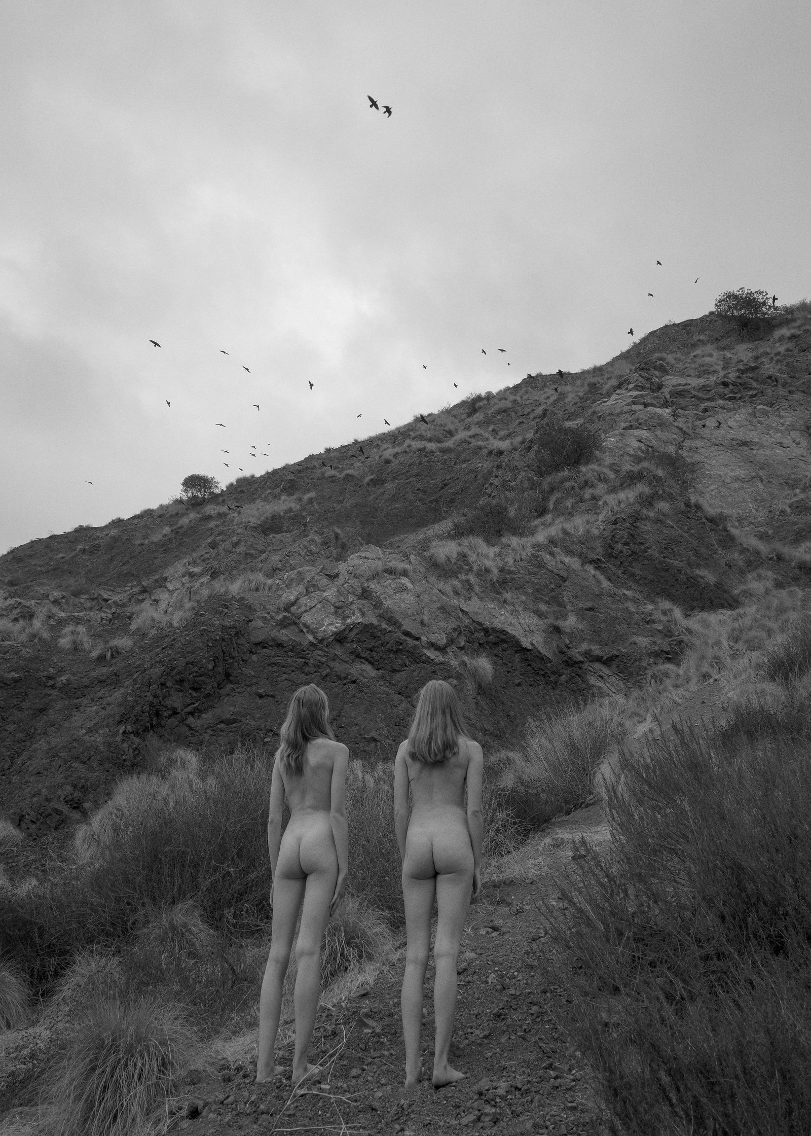 Larsen Sotelo Two Birds black and white photo print 35" x 25" edition 1/15: Larsen Sotelo Two Birds black and white photo print 35" x 25" edition 1/15 "Two Birds" is a contemporary black and white giclee photograph by Larsen Sotelo, created in 2022. This edition 1/15 print is