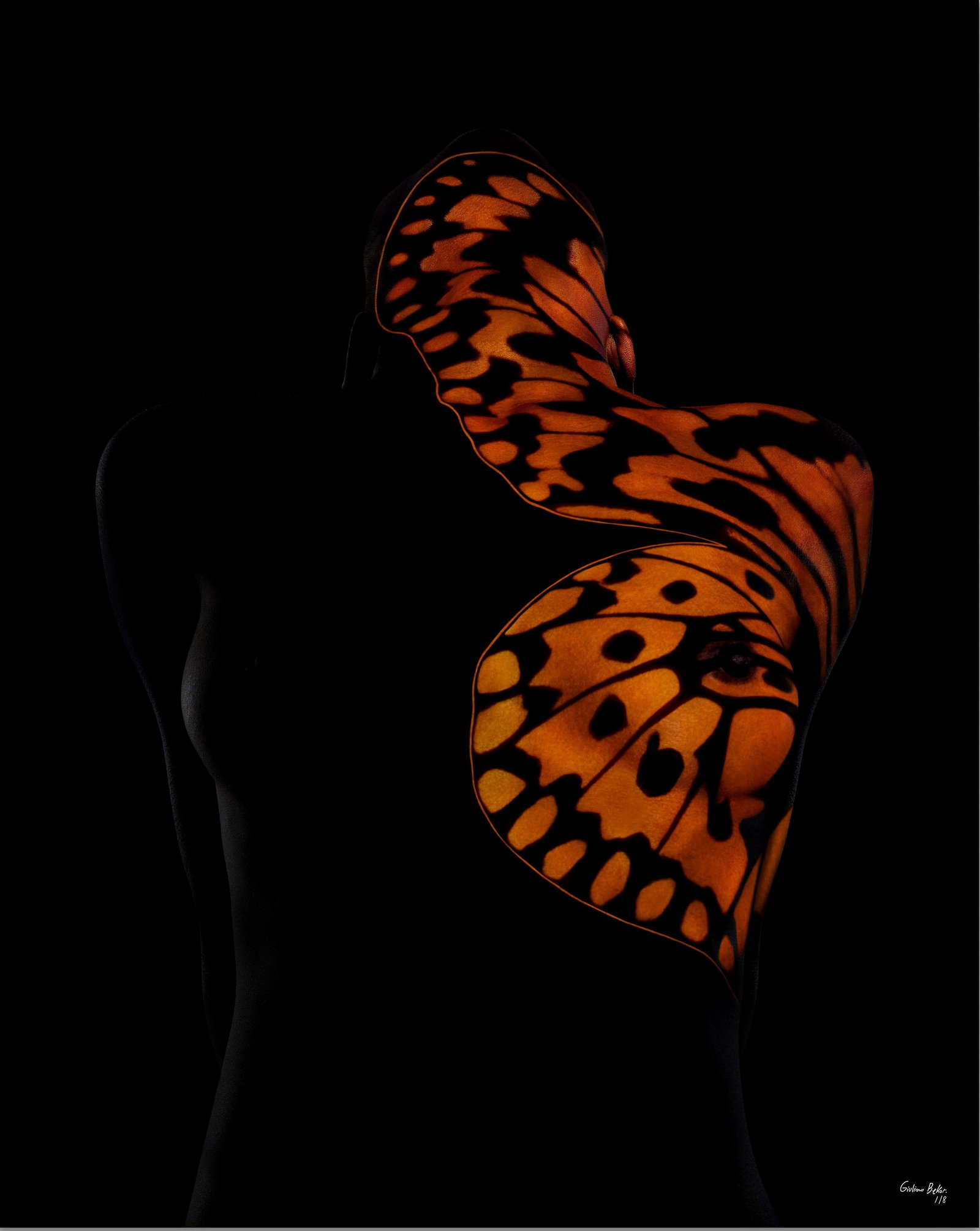 Giuliano Bekor Butterfly 19 Framed Photography Edition 1/8 50 x 40 Inch Pop Art (1 of 9)
