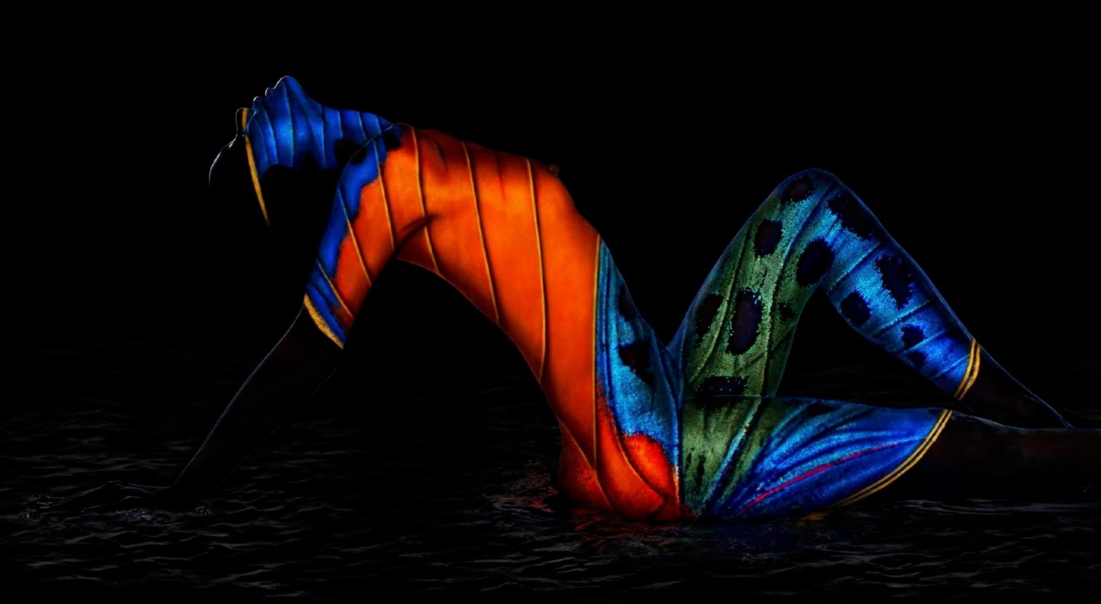 Giuliano Bekor Butterfly 20 Photography Framed 48x86 Edition 2/10 (1 of 5)