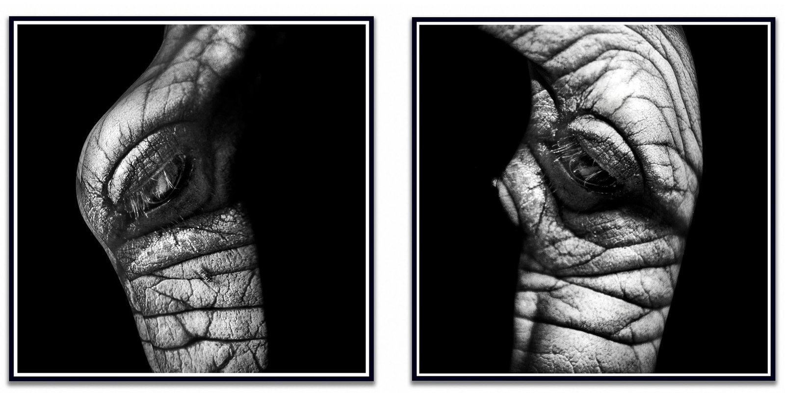 Giuliano Bekor WA23AB Diptych archival pigment photo 40 x 40 Edition 3 10 (1 of 6)