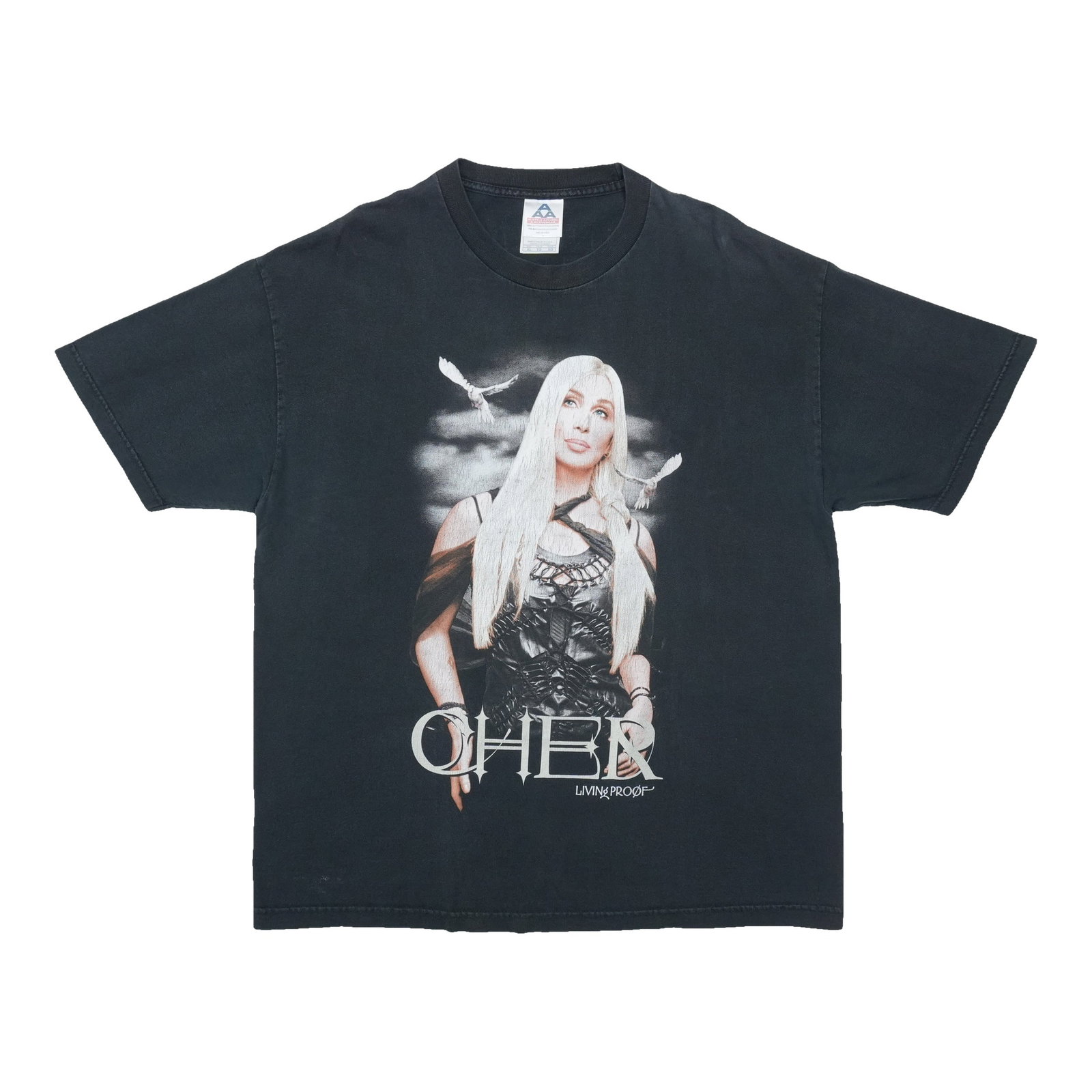Vintage 2002 Cher Farewell Tour Living Proof T Shirt XL (1 of 5)
