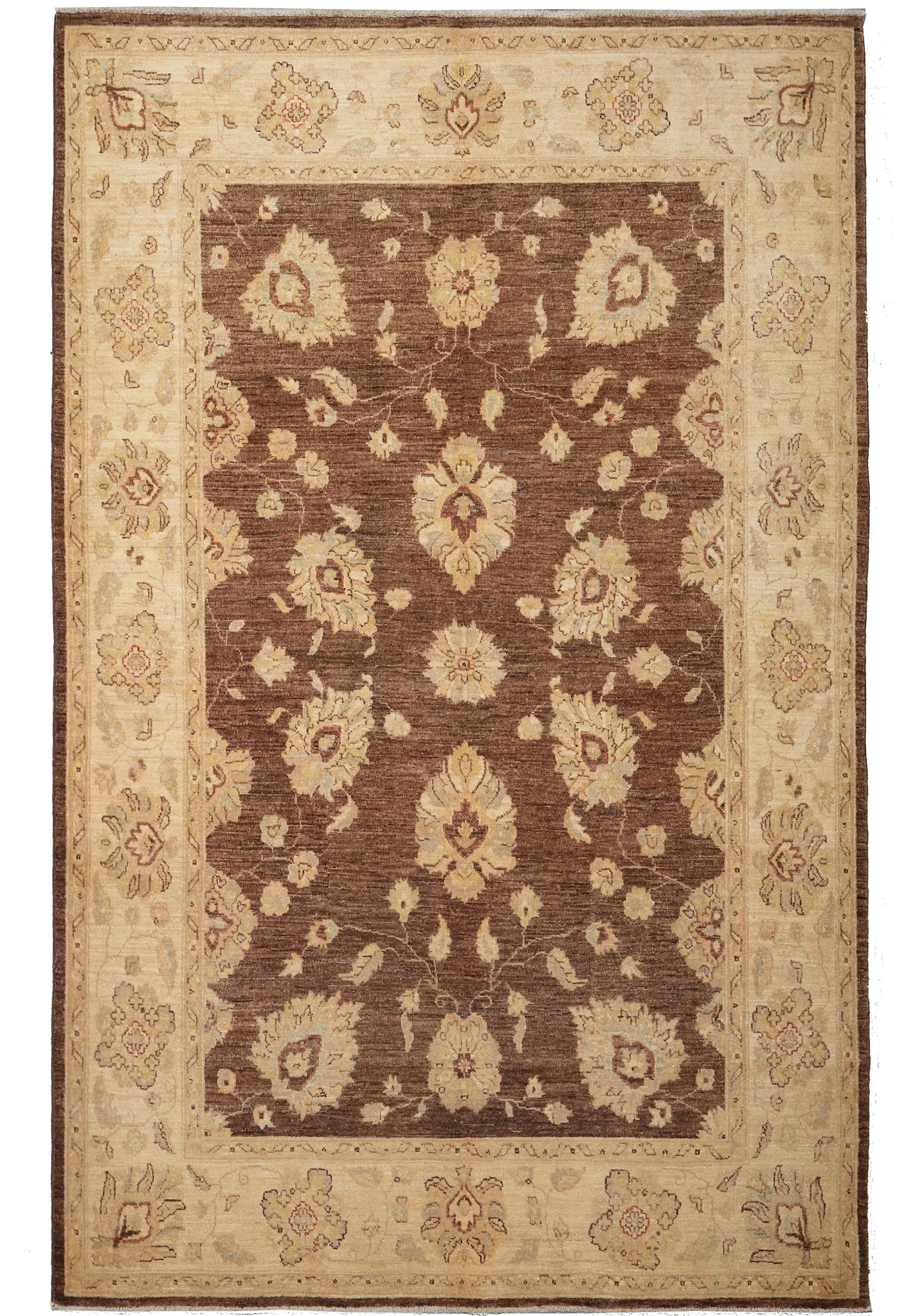 6 x 8.5 Natural Wool Chobi Peshawar Zigler Rug Brown: 6 x 8.5 Natural Wool Chobi Peshawar Zigler Rug Brown Free continental US Shipping Hand-knotted Chobi Peshawar rug in a brown and gold color palette with a detailed floral design. Made of natural wool,