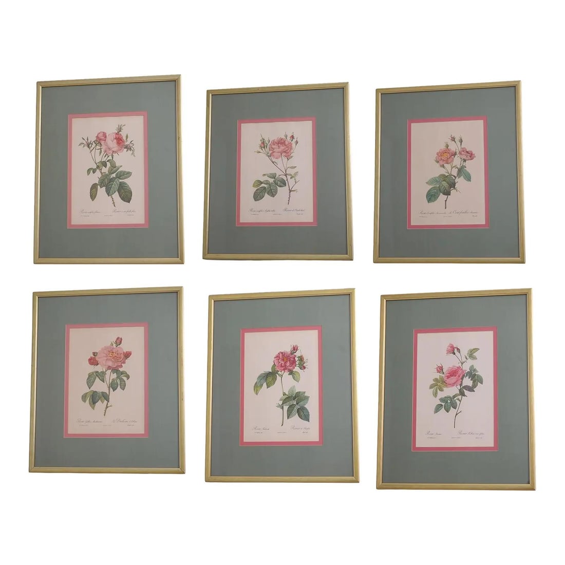 Set of 6 Framed Rose Engravings by Pierre Joseph Redoute (1 of 10)