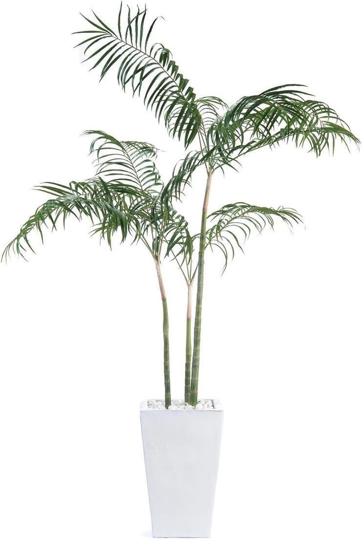 John-Richard Areca Palm Decor with Marble Base 92H 60W 63D: John-Richard Areca Palm Decor with Marble Base 92H 60W 63D Enhance your space with this Stylish Marble Base Areca Palm Decor. Standing tall at 92 inches, this exquisite piece features a natural white 