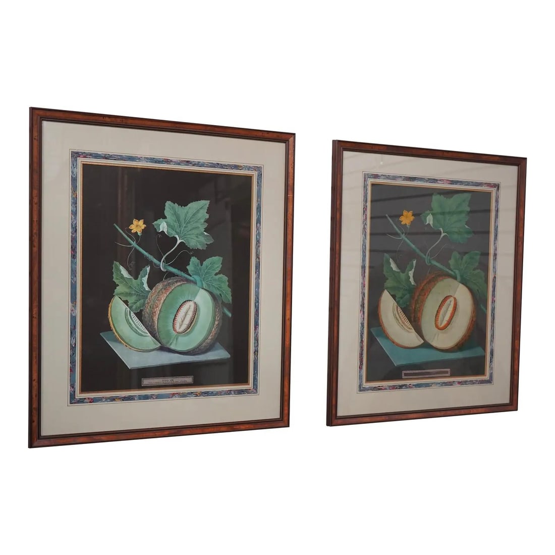 Framed Pair of George Brookshaw Fruit Prints Green Fresh Melon (1 of 10)