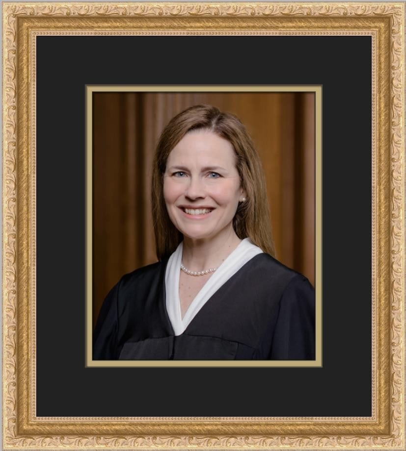 Amy Coney Barrett official portrait in gold ornate frame (1 of 2)