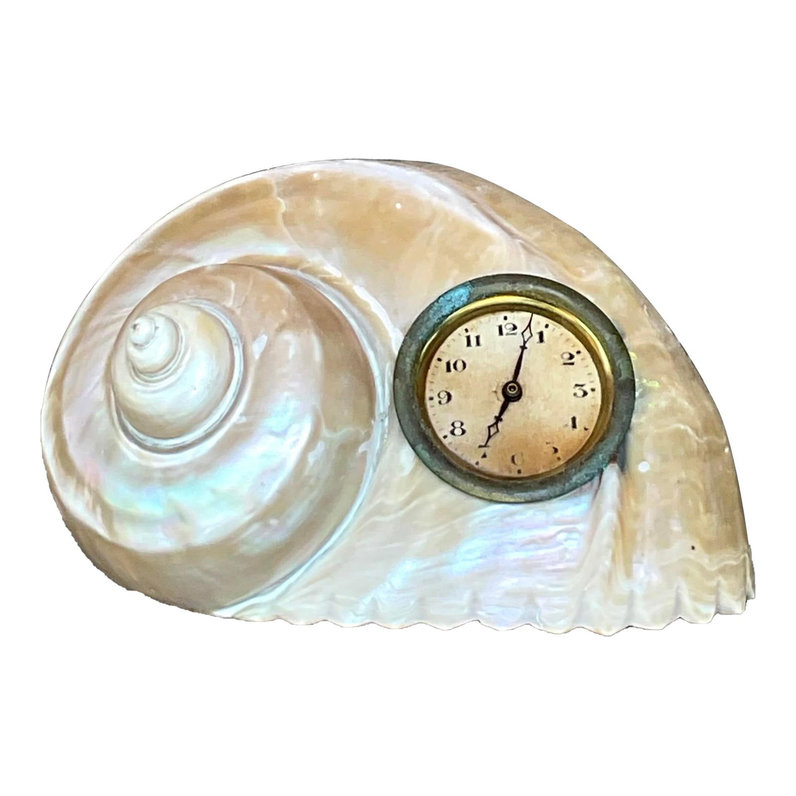 Vintage Coastal Conch Shell Clock with Brass Frame: Vintage Coastal Conch Shell Clock with Brass Frame Experience coastal charm with this vintage conch shell clock. Made from a beautifully polished natural shell, it features an iridescent finish that r