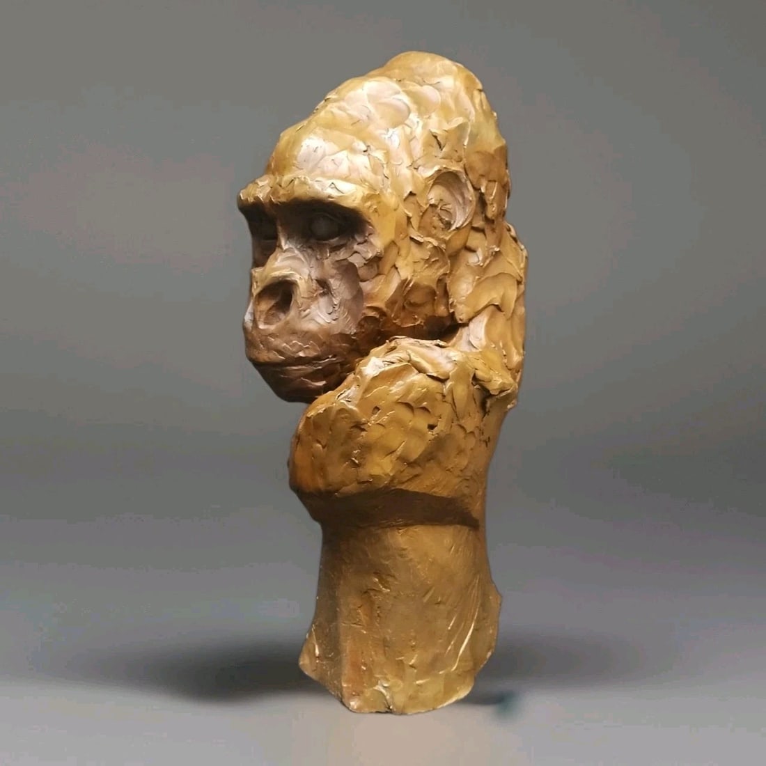 Bronze and Plaster N'Dume Gorilla Bust Pair by Maureen S Riley 16": Bronze and Plaster N'Dume Gorilla Bust Pair by Maureen S Riley 16" Vintage bronze portrait bust of N'Dume the gorilla by Maureen S. Riley, offered together with the original plaster model or maquette 