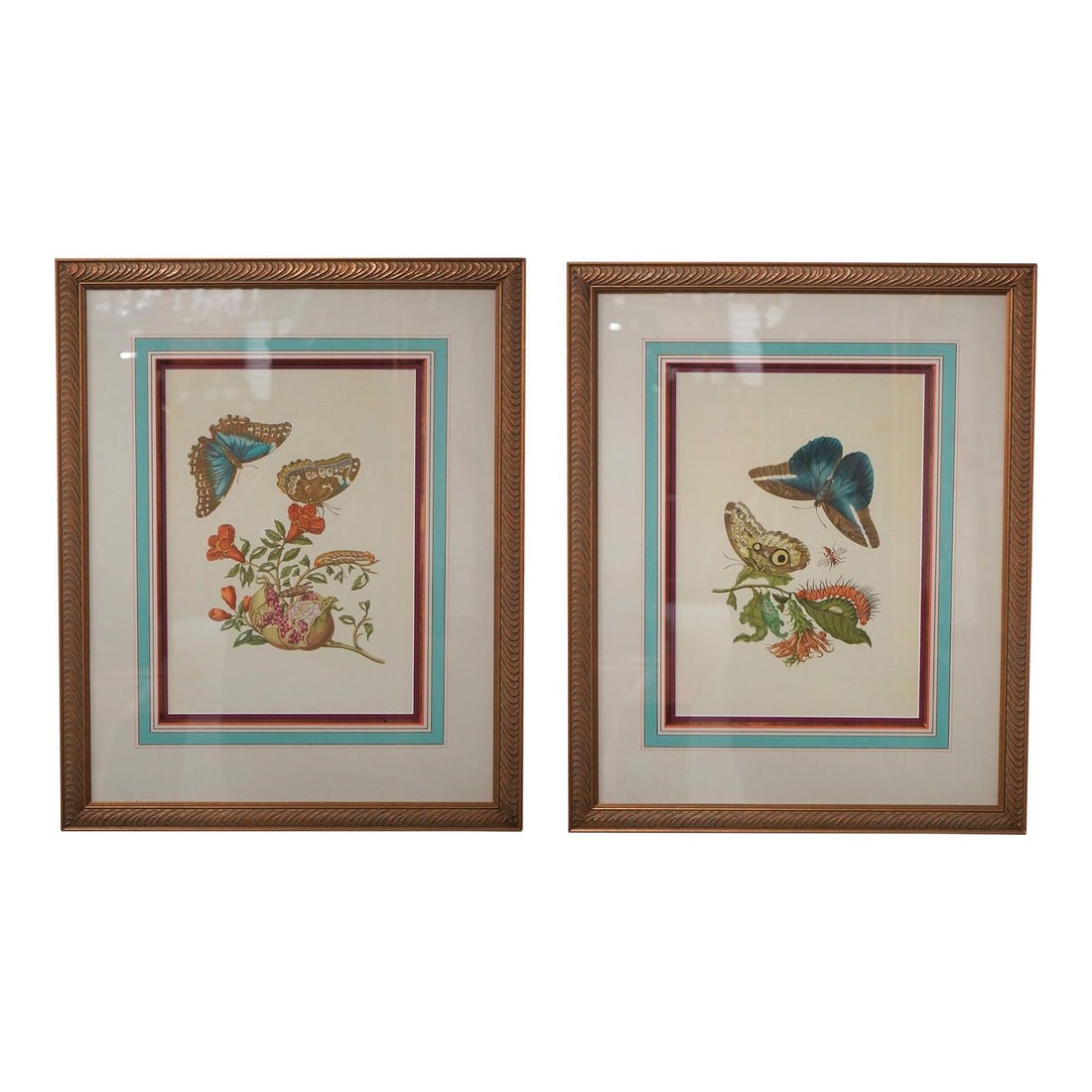 Pair of Framed Matted Butterfly Engraving Prints 23.5w x 1d x 29h (1 of 8)