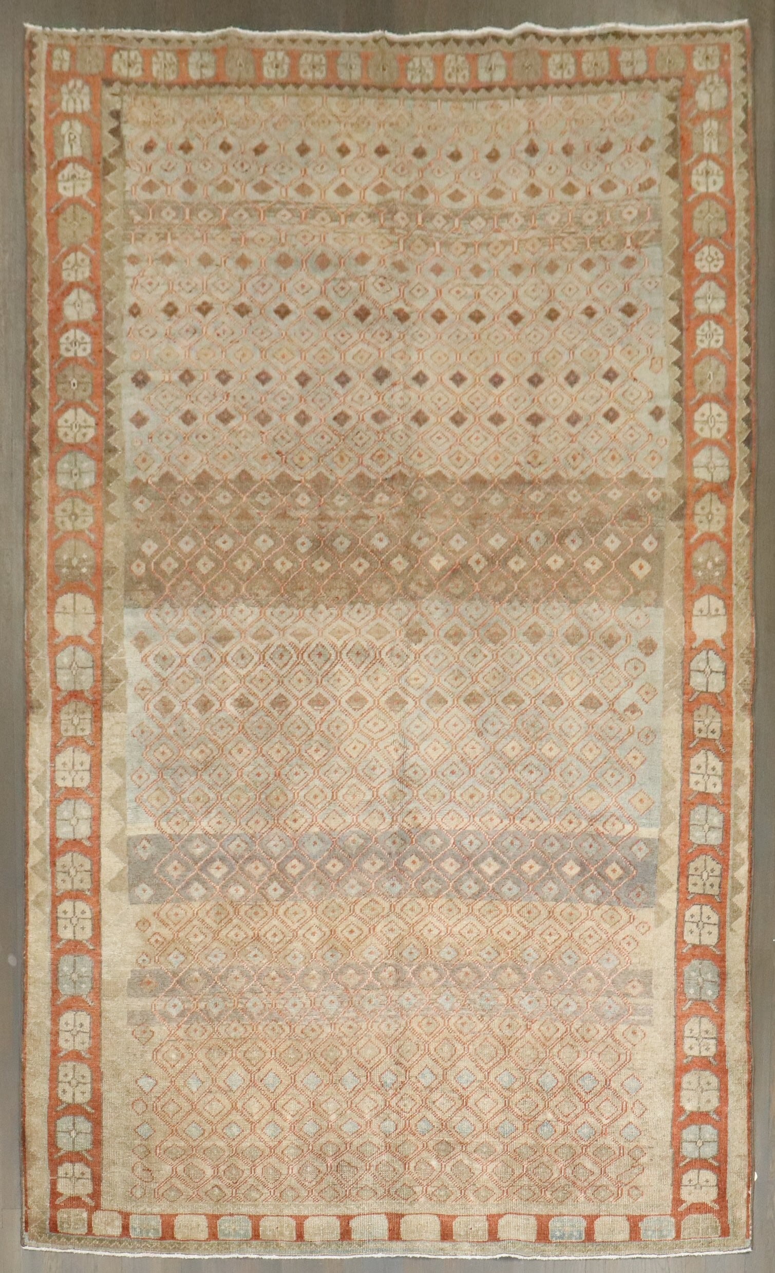 6' 9" x 10' 5" Northwest Persian Camel Area Rug: 6' 9" x 10' 5" Northwest Persian Camel Area Rug Vintage decorative Northwest Persian rug from the second quarter of the 20th century, featuring an intricate patterned field and a floral motif border. 