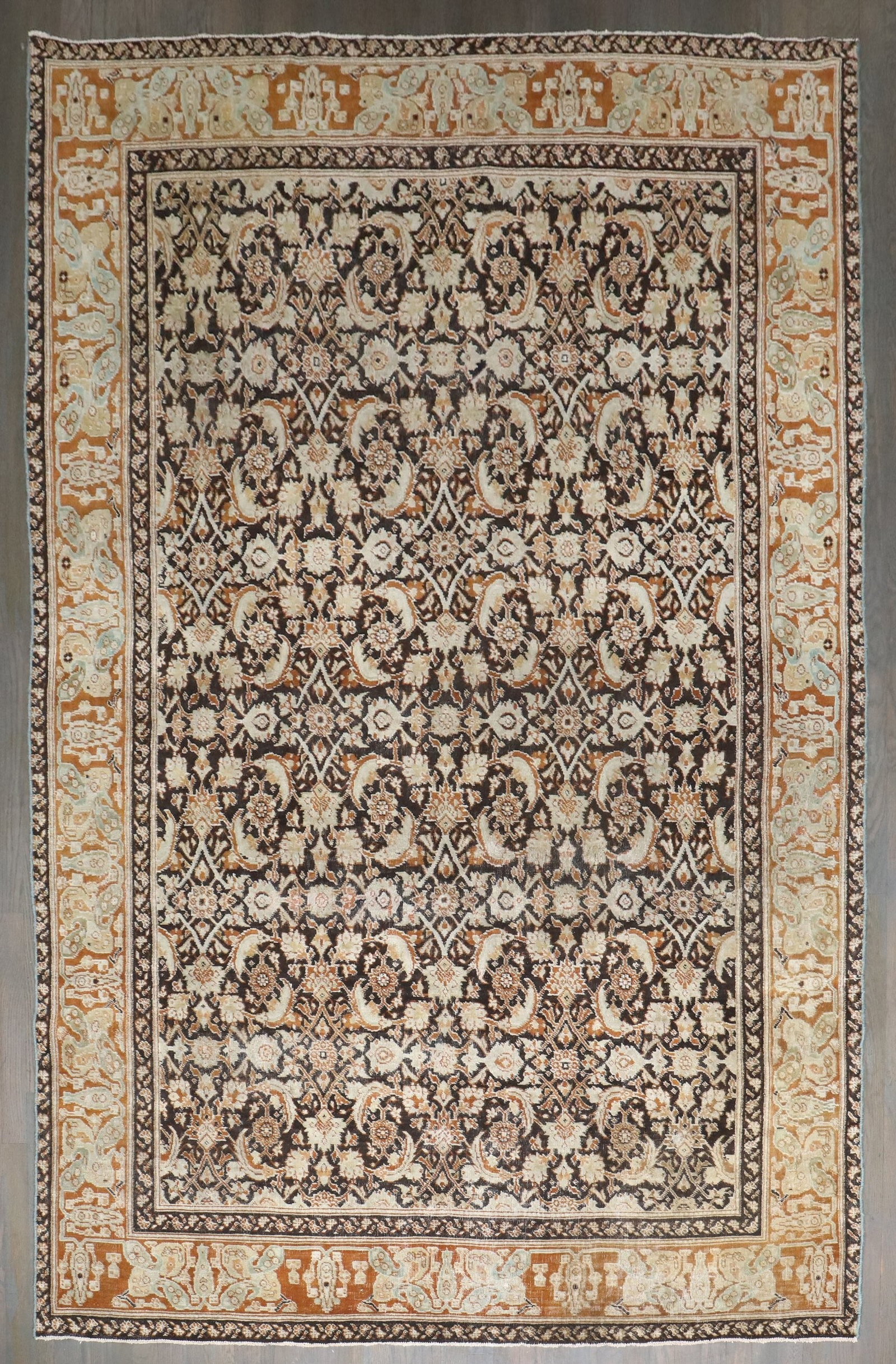 6' x 8' 9" Early 20th Century Agra Rug Herati Design (1 of 7)