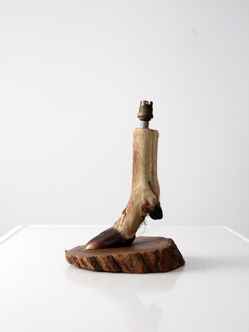 Rustic Vintage Deer Hoof Table Lamp Taxidermy Decor: Rustic Vintage Deer Hoof Table Lamp Taxidermy Decor This vintage deer hoof table lamp is a striking and rustic piece of taxidermy decor that adds character to any space. Featuring a preserved deer hoo