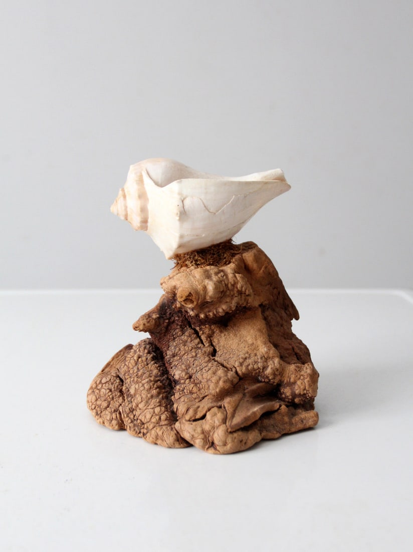 Sculptural Burl Wood Candleholder with Shell Accent Mid-Century Modern: Sculptural Burl Wood Candleholder with Shell Accent Mid-Century Modern This mid-century sculptural candle features a natural shell candle mounted on a solid burl wood base. The piece showcases a strik
