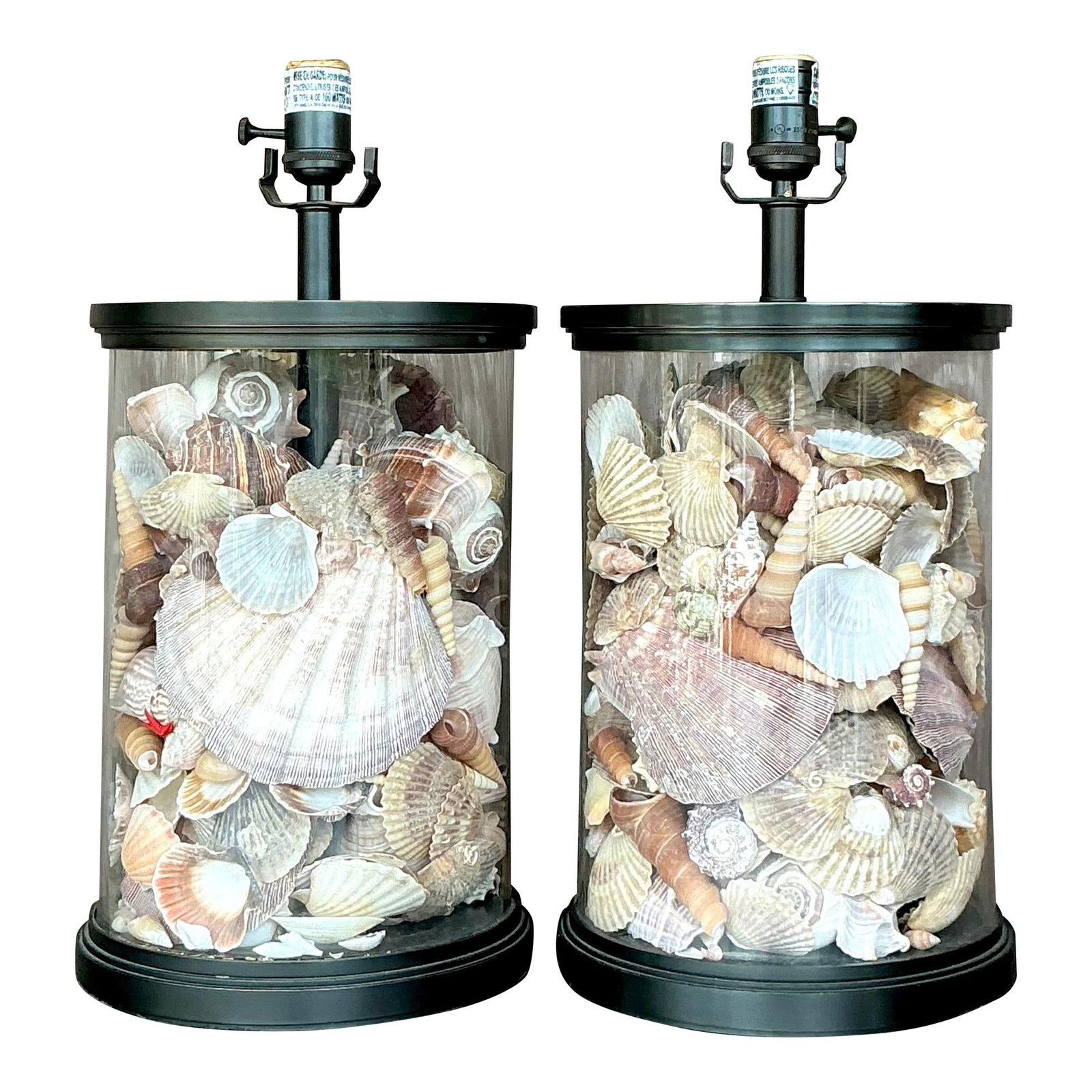 Pair of Vintage Bronze Shell Collector Lamps for Coastal Decor: Pair of Vintage Bronze Shell Collector Lamps for Coastal Decor Enhance your home with the coastal elegance of this pair of Vintage Bronze Shell Collector Lamps. Perfectly suited for American-style int