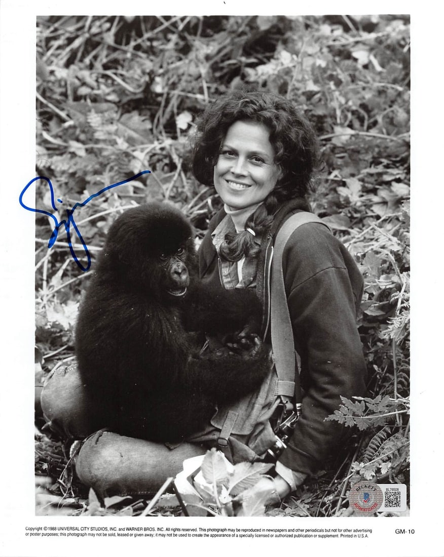 Beckett Certified 8x10 Original Photo Signed by Sigourney Weaver: Beckett Certified 8x10 Original Photo Signed by Sigourney Weaver Authentic signed 8x10 photo from Gorillas in the Mist, personally signed by Sigourney Weaver. This original photograph is authenticated