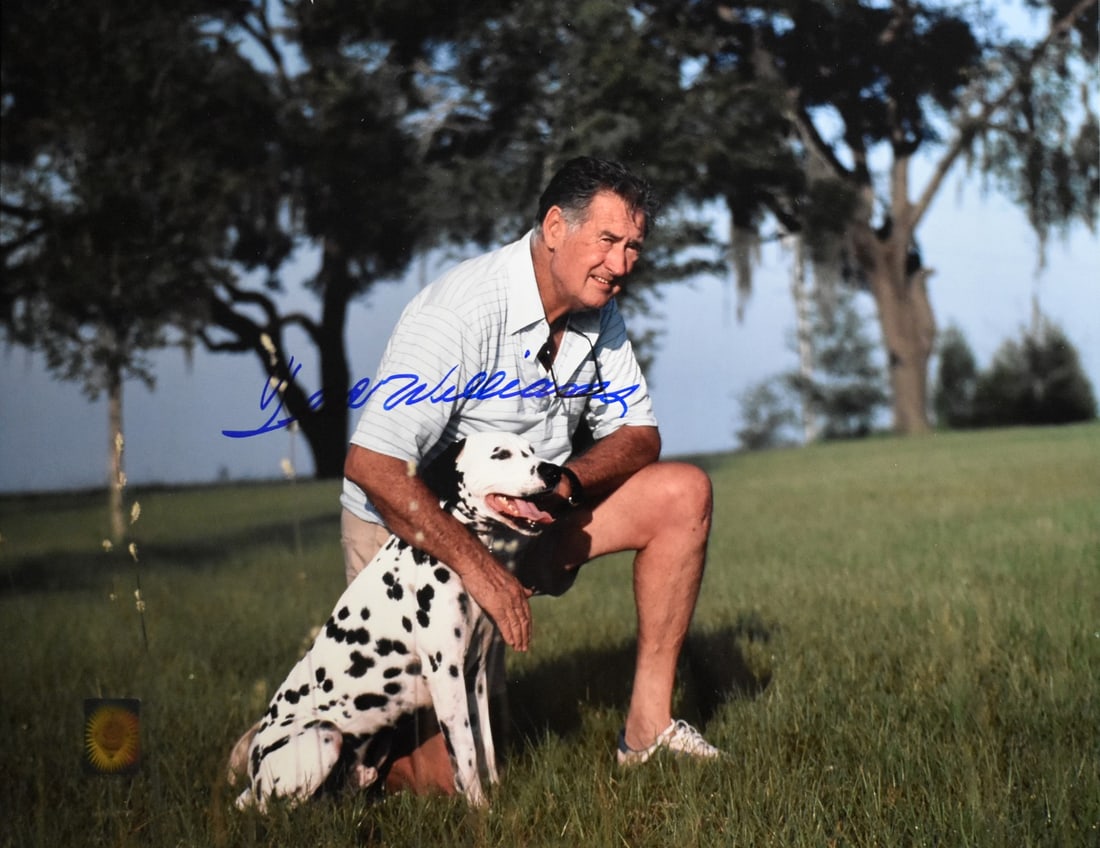 Autographed 16x20 Boston Red Sox Photo Ted Williams HOF Green Diamond (1 of 4)