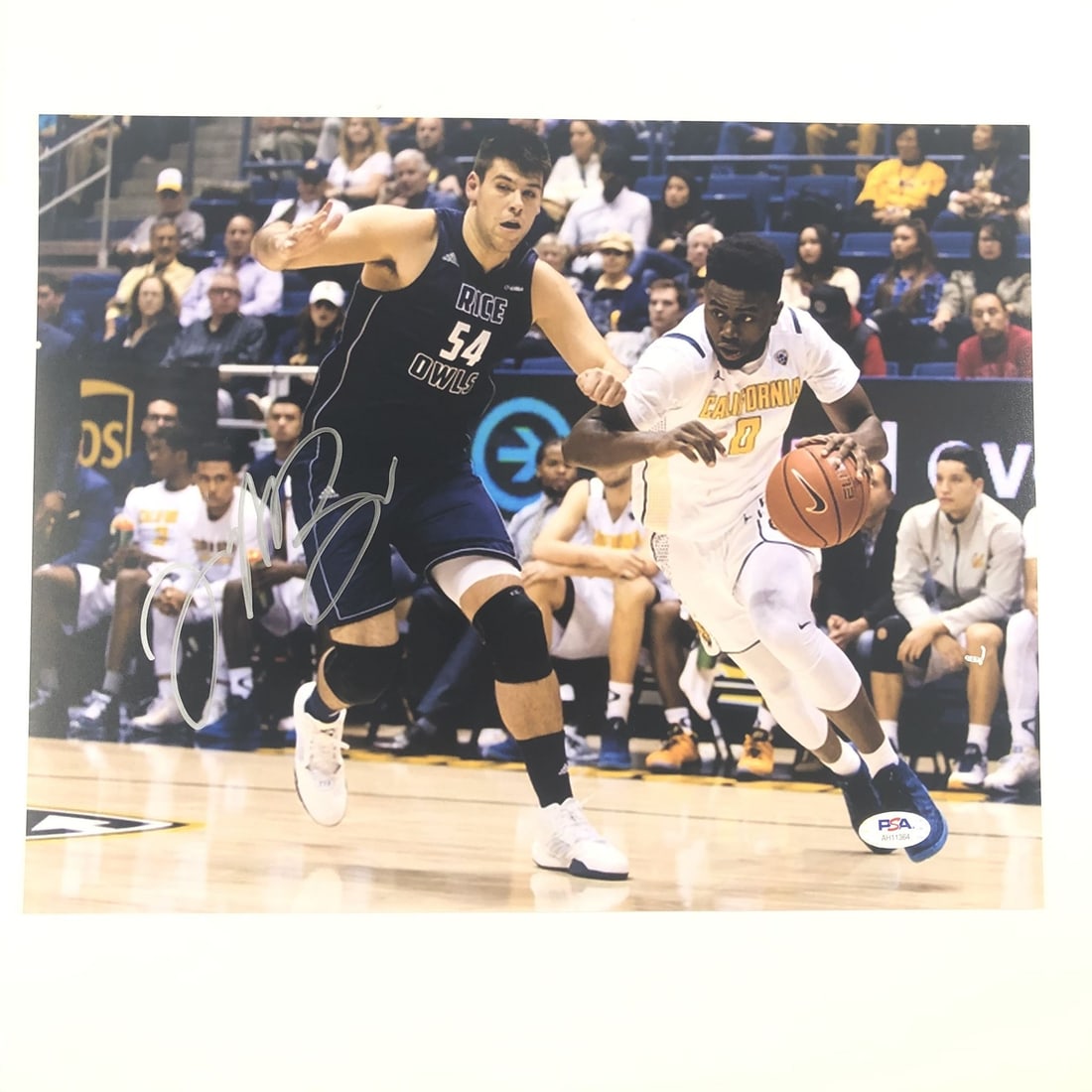 PSA DNA authenticated Jaylen Brown 11x14 signed Celtics photo: PSA DNA authenticated Jaylen Brown 11x14 signed Celtics photo Professionally printed 11x14 photograph signed by Jaylen Brown of the Boston Celtics, who also played for the California Golden Bears. The