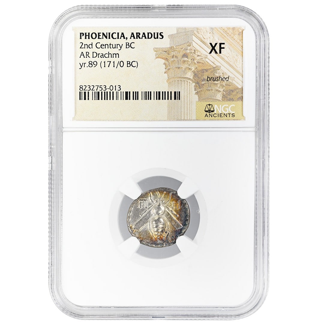 NGC XF Phoenicia Aradus AR Drachm 2nd Century BC Silver Coin: NGC XF Phoenicia Aradus AR Drachm 2nd Century BC Silver Coin Ancient Phoenicia Aradus AR drachm from the 2nd century BC, struck in silver and graded NGC XF. This pre-owned coin was issued at Aradus, a