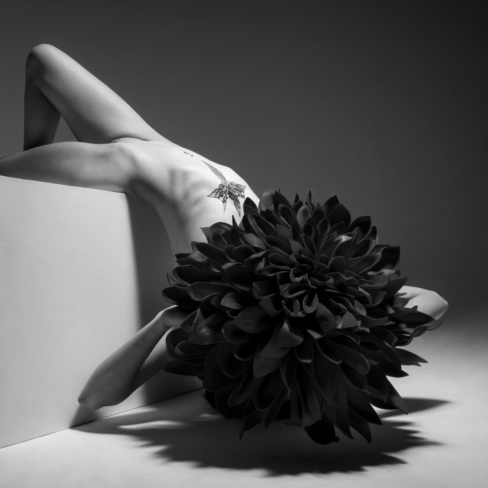 24" x 24" Archival Giclee Nude Photograph Seraphim Aaron McPolin Edition 1/15: 24" x 24" Archival Giclee Nude Photograph Seraphim Aaron McPolin Edition 1/15 "Seraphim" is a contemporary nude photograph by Aaron Mcpolin from 2023. This work is an archival giclee print, signed and