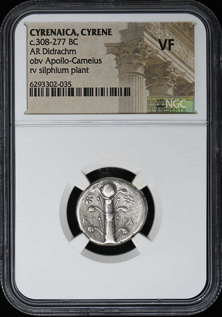 Cyrenaica Cyrene AR Didrachm NGC VF Ancient Coin: Cyrenaica Cyrene AR Didrachm NGC VF Ancient Coin This is an ancient silver didrachm from Cyrenaica, Cyrene, dating to approximately 308-277 BC. The coin has been certified and graded VF (Very Fine) by