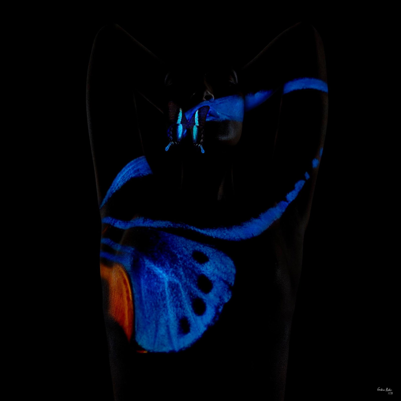 Giuliano Bekor Butterfly B7 archival pigment photograph 24" x 24" Edition 1/24: Giuliano Bekor Butterfly B7 archival pigment photograph 24" x 24" Edition 1/24 "Butterfly 7" is a 2018 pop art photograph by Giuliano Bekor from the BUTTERFLY series. This editioned work is an archiva