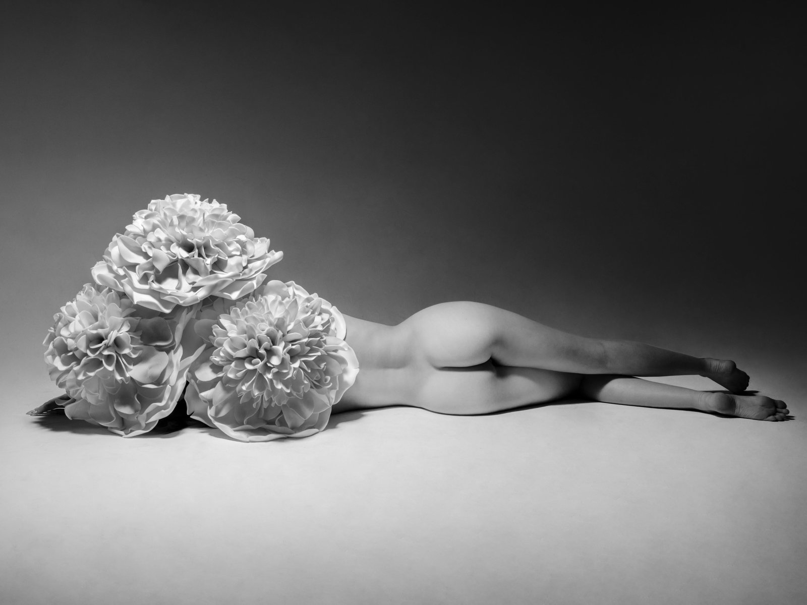 Aaron McPolin Return to Earth archival pigment photograph 24 x 32 in 1/7: Aaron McPolin Return to Earth archival pigment photograph 24 x 32 in 1/7 "Return to Earth" is a contemporary black and white photographic work by Aaron McPolin from the "BLOOM" series. This archival g