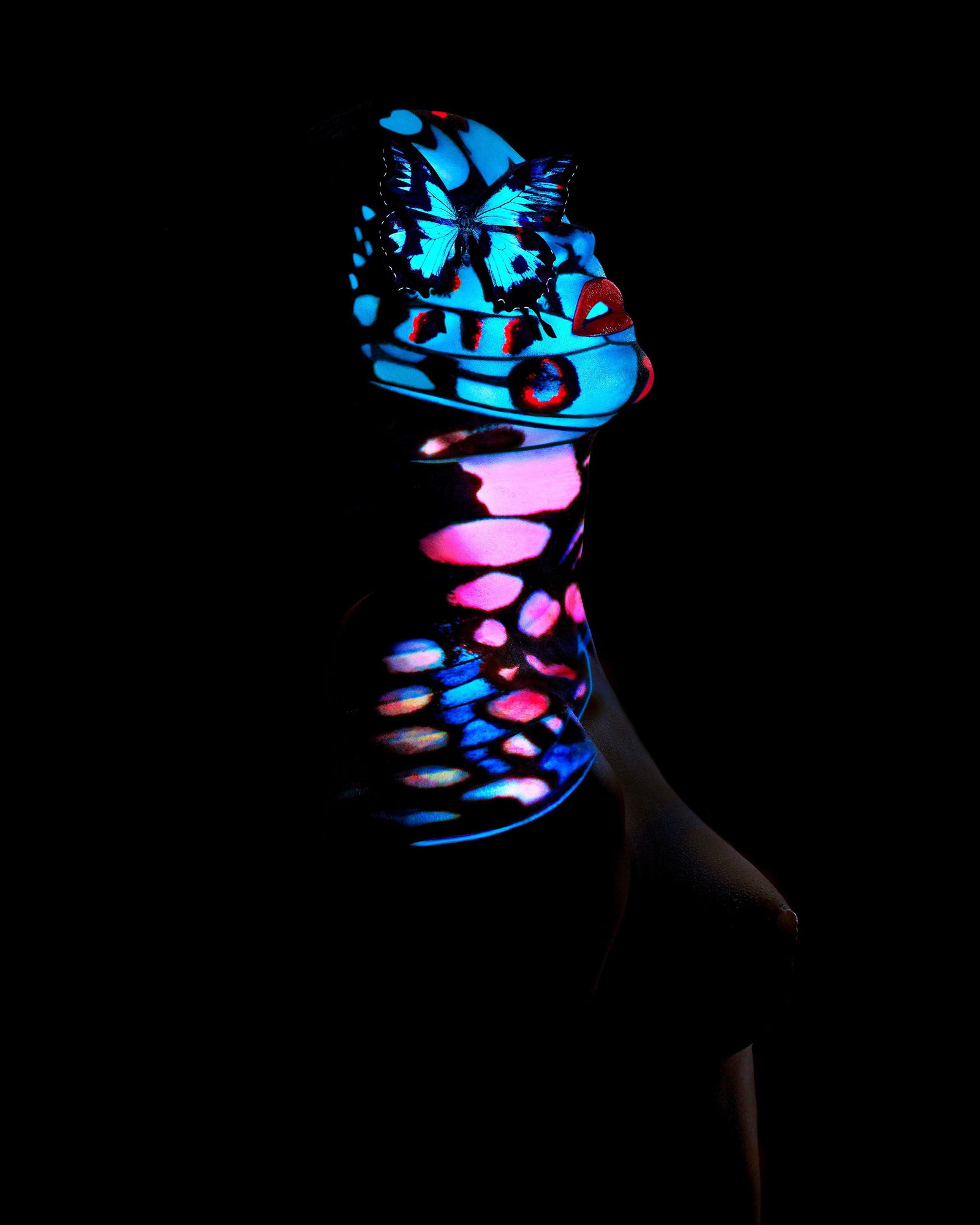 Giuliano Bekor Butterfly B10 abstract archival pigment photograph 50" x 40" (1 of 3)