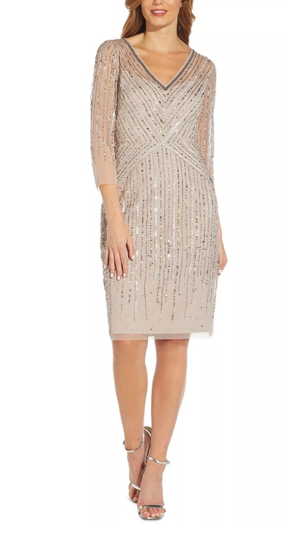 Adrianna Papell Beaded Mesh Fit & Flare Cocktail Dress Size 6 Silver (1 of 5)