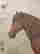 item-116165512=3