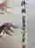 item-120975509=4