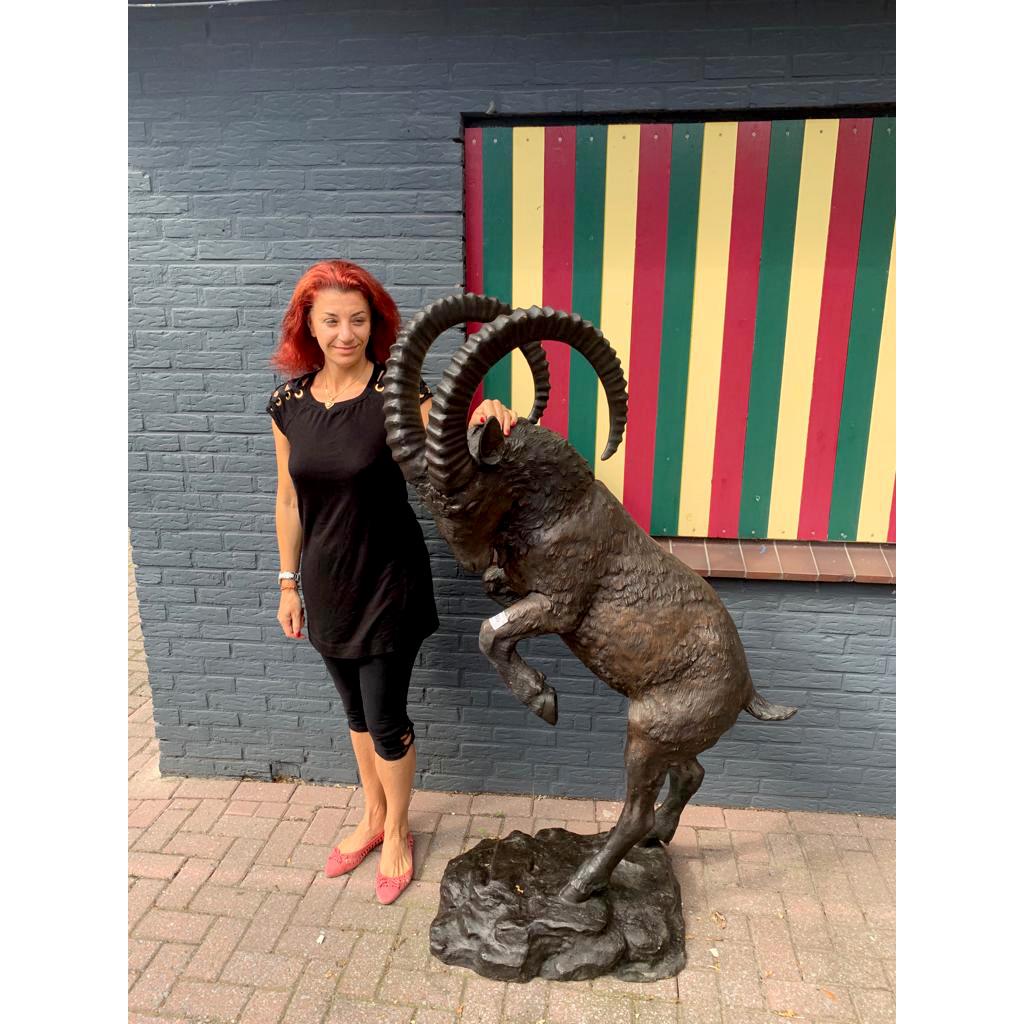 Large Bronze Statue of Alpine Ibex (Steinbock) (1 of 1)