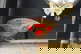 item-209263697=7