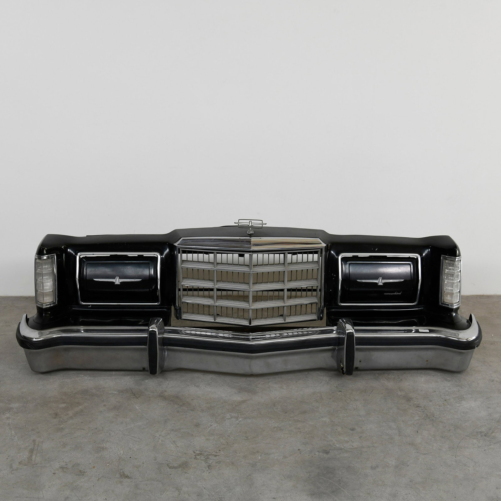 Ford Thunderbird Front Clip (1977-1979) (1 of 13)