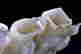 item-117093842=4