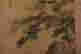 item-117094355=4