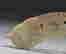 item-120927026=3