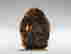 item-131212014=6
