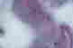 item-131212122=4