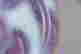 item-131212122=5
