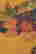item-131212175=7